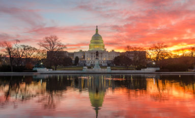 Court: Trump's pick should lead CFPB