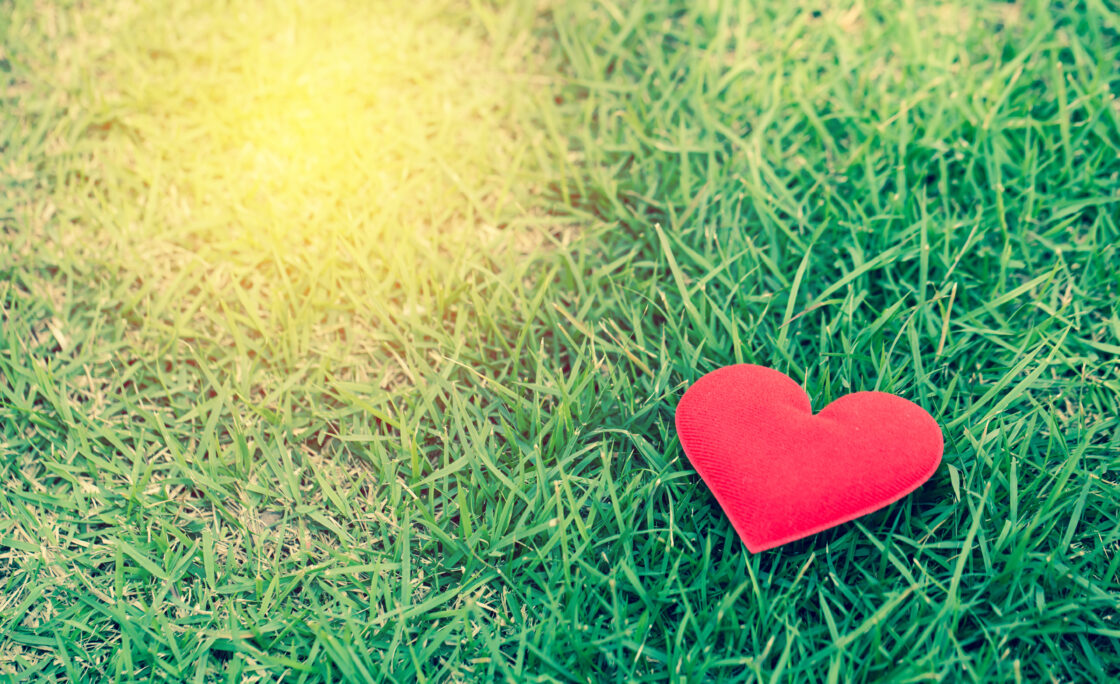 Delta Community Credit Union seeking entries in annual philanthropic fund program