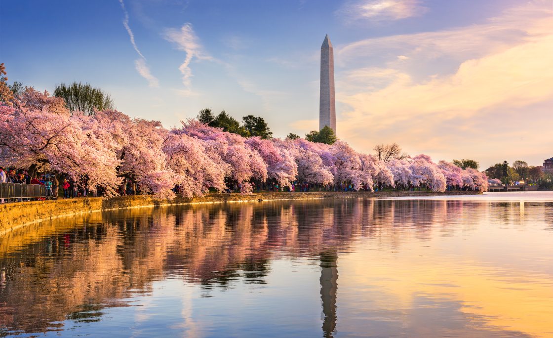 American Banker: Bill to enhance poor credit scores will backfire, critics say