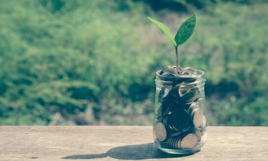 Delta Community Credit Union makes Magnify Money's list of top IRA CD rates for August