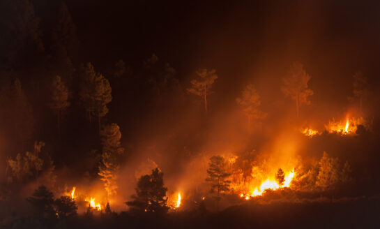 CUNA: California credit unions hold fast in face of 'apocalyptic' wildfires