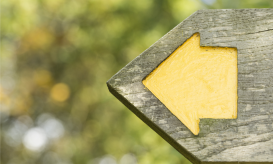 Here's why you should thank a compliance officer today