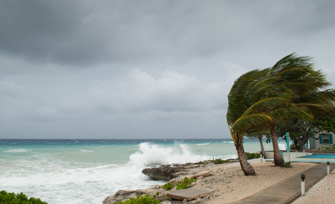 Here's how you can help credit unions affected by Hurricane Michael
