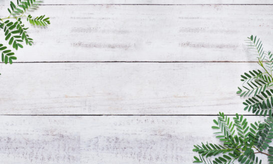 DOCO Credit Union members save more than $1.3M in Christmas Club savings