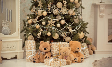 Robins Financial Credit Union donates 250 toys to Toys for Tots