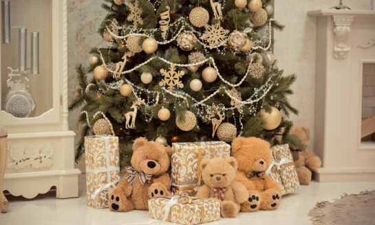Robins Financial Credit Union donates 250 toys to Toys for Tots