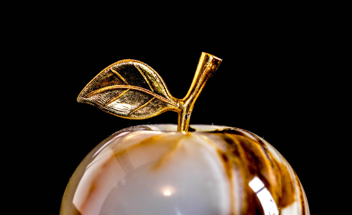 Kinetic Credit Union delivers 'Golden Apple' to local teacher