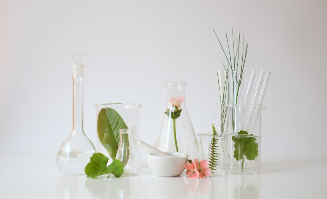 Delta Community Credit Union partners with Atlanta Science Festival