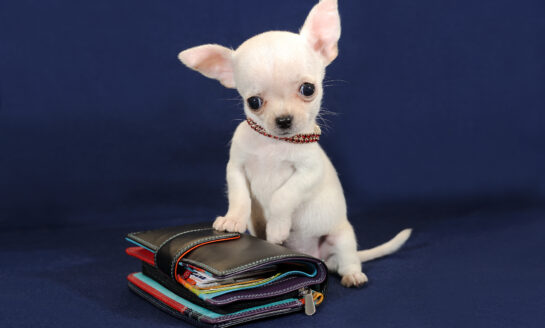 CONSIDER THIS: Financial literacy could use improvement