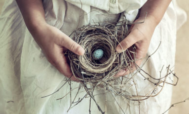 Robins Financial credit Union supports Sparrow's Nest