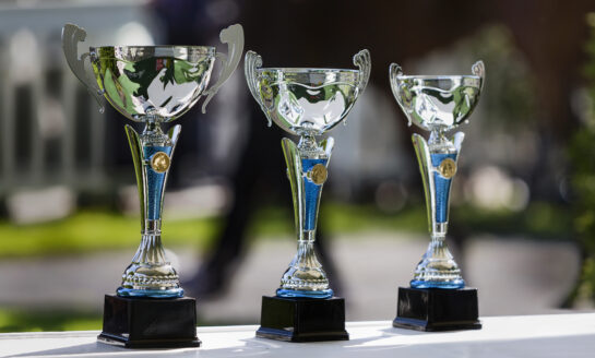 Robins Financial Credit Union awarded top performance award from Raddon