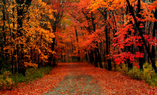 McCoy Federal Credit Union participates in multiple fall events