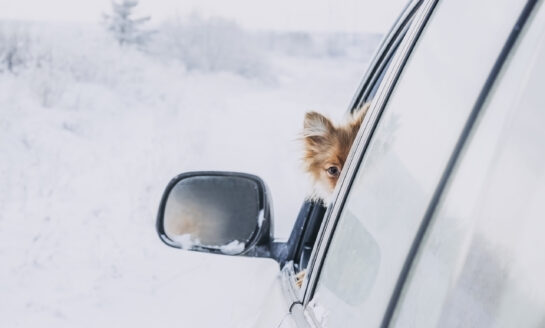 Coosa Valley Credit Union: Yes, you can refinance your auto loan