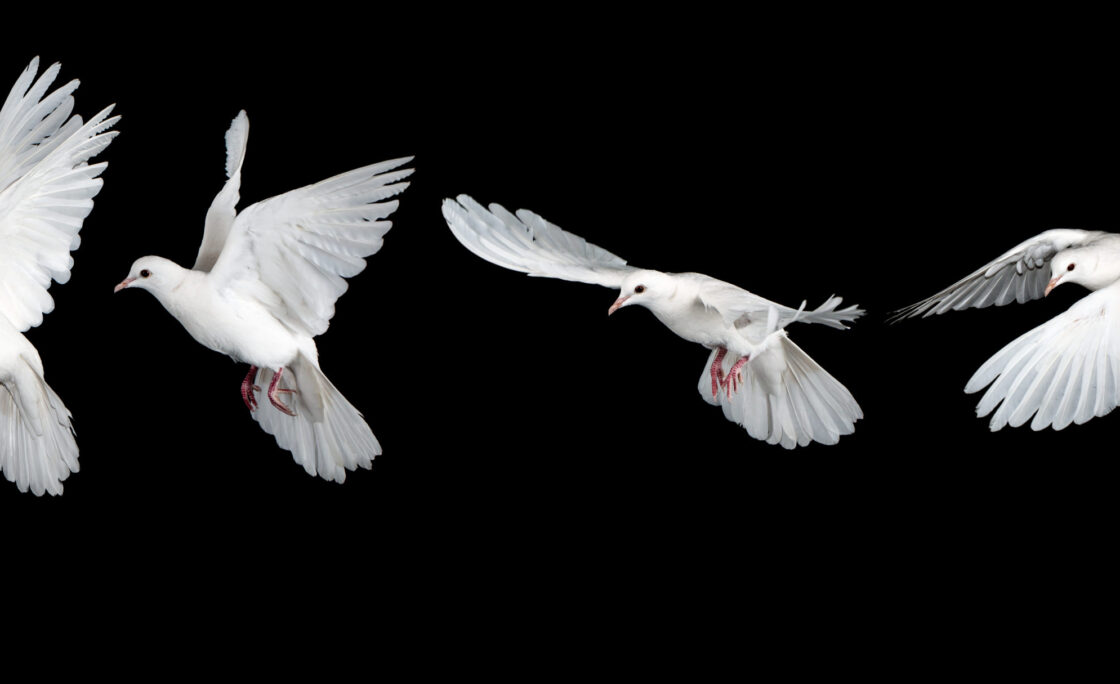 Florida credit union leader Ralph Ray Story passes away following distinguished career