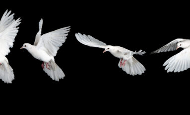 Florida credit union leader Ralph Ray Story passes away following distinguished career