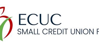 Education Credit Union Council Launches New Program to Support Smaller Credit Unions