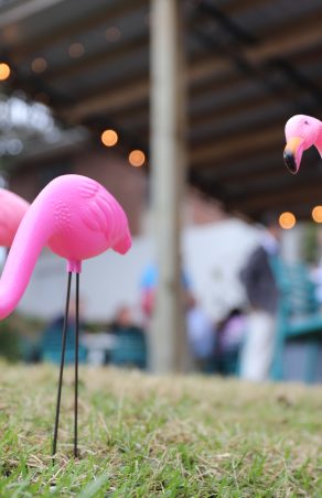 First Commerce Credit Union’s #FlamingoChallenge Returns to Rally Support for North Florida and South Georgia Breast Cancer Patients