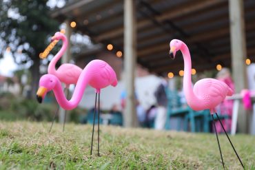 First Commerce Credit Union’s #FlamingoChallenge Returns to Rally Support for North Florida and South Georgia Breast Cancer Patients