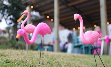 First Commerce Credit Union’s #FlamingoChallenge Returns to Rally Support for North Florida and South Georgia Breast Cancer Patients